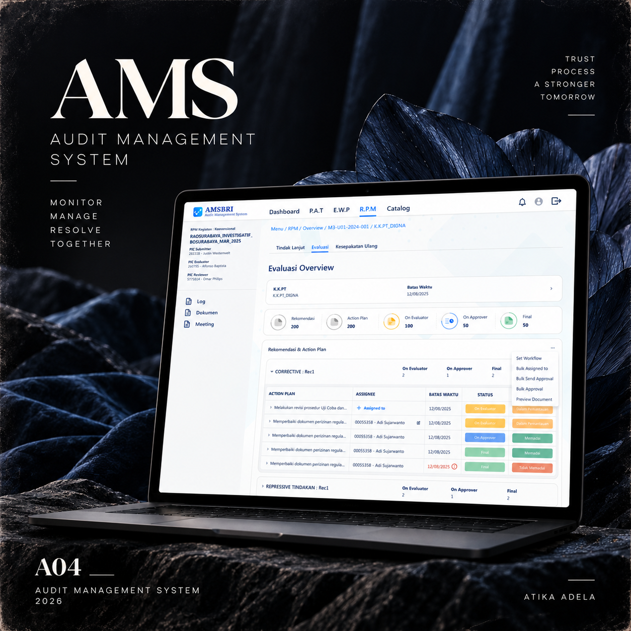 BRI AMS cover